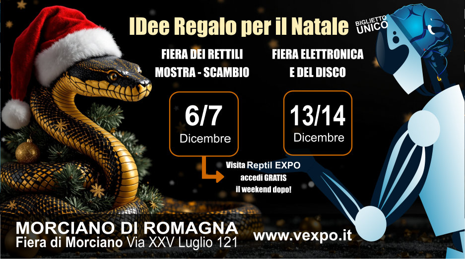 Vexpo Eventi Dicembre 2025